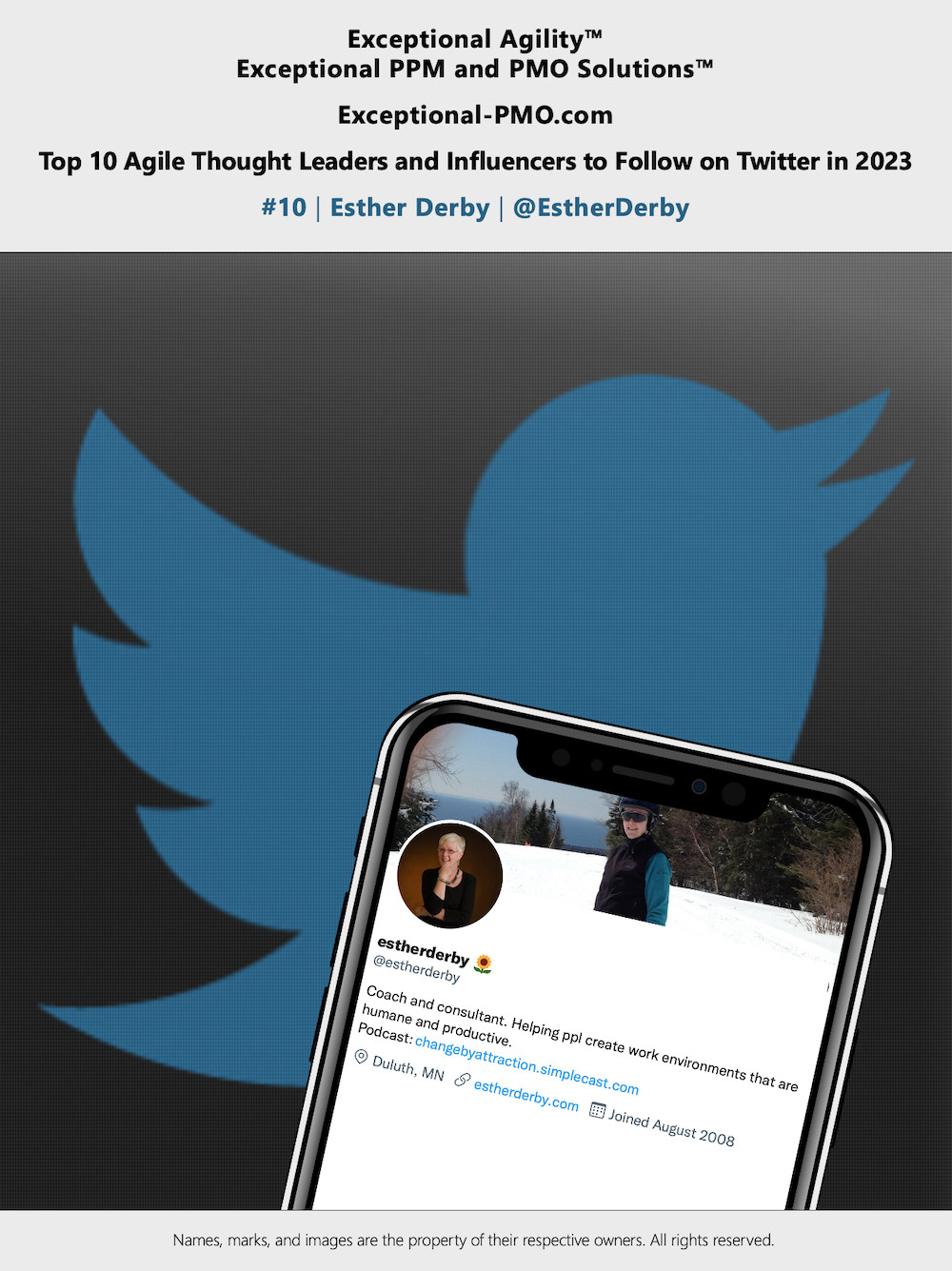 Exceptional-PMO_com - Top 10 Agile Thought Leaders and Influencers to Follow on Twitter in 2023 - 10 - lr - sq